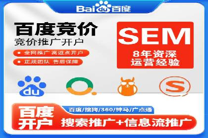 某电商平台的SEM运营实战与效果分析